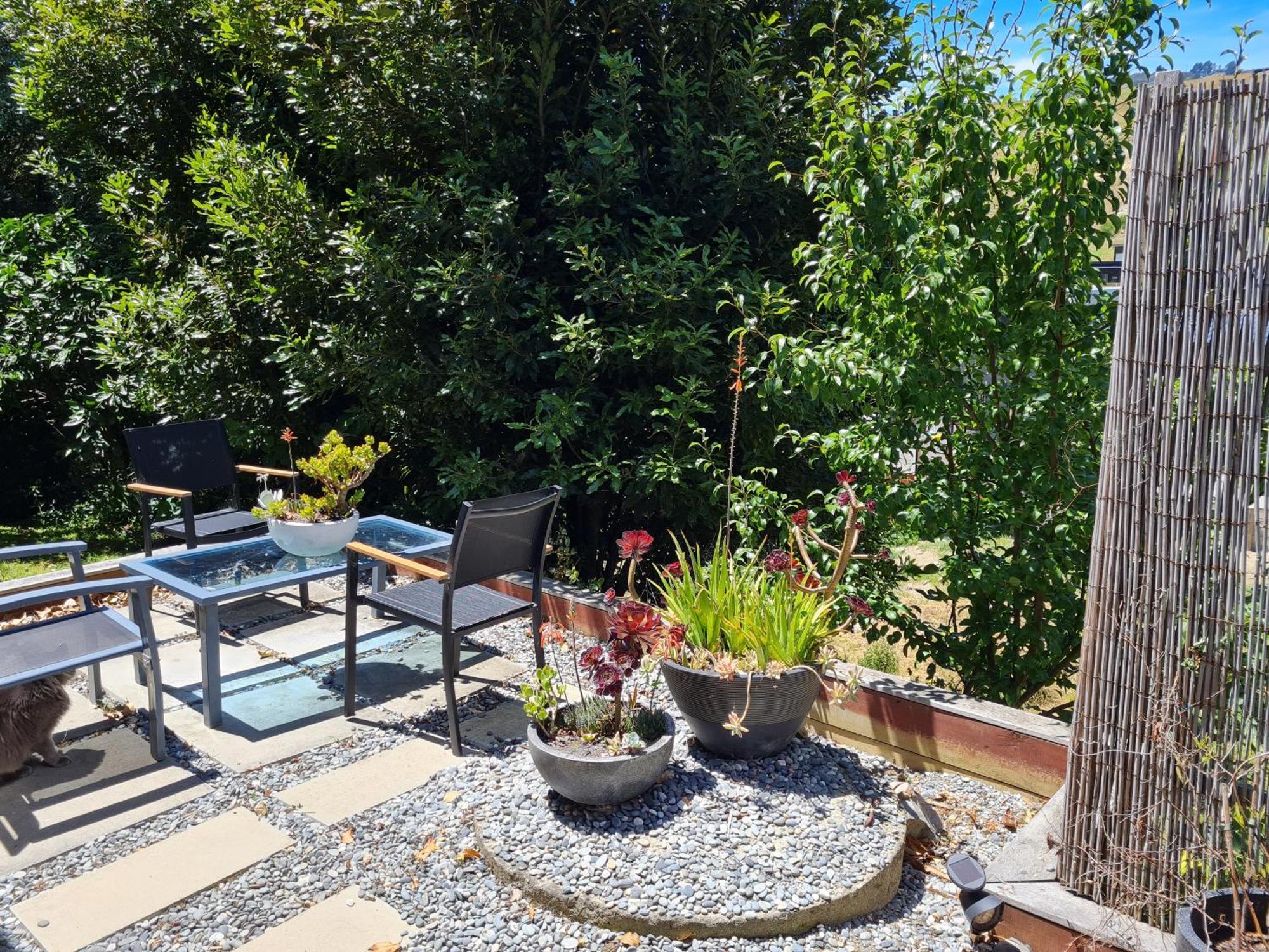 Makoha Place Νέλσον Εξωτερικό φωτογραφία